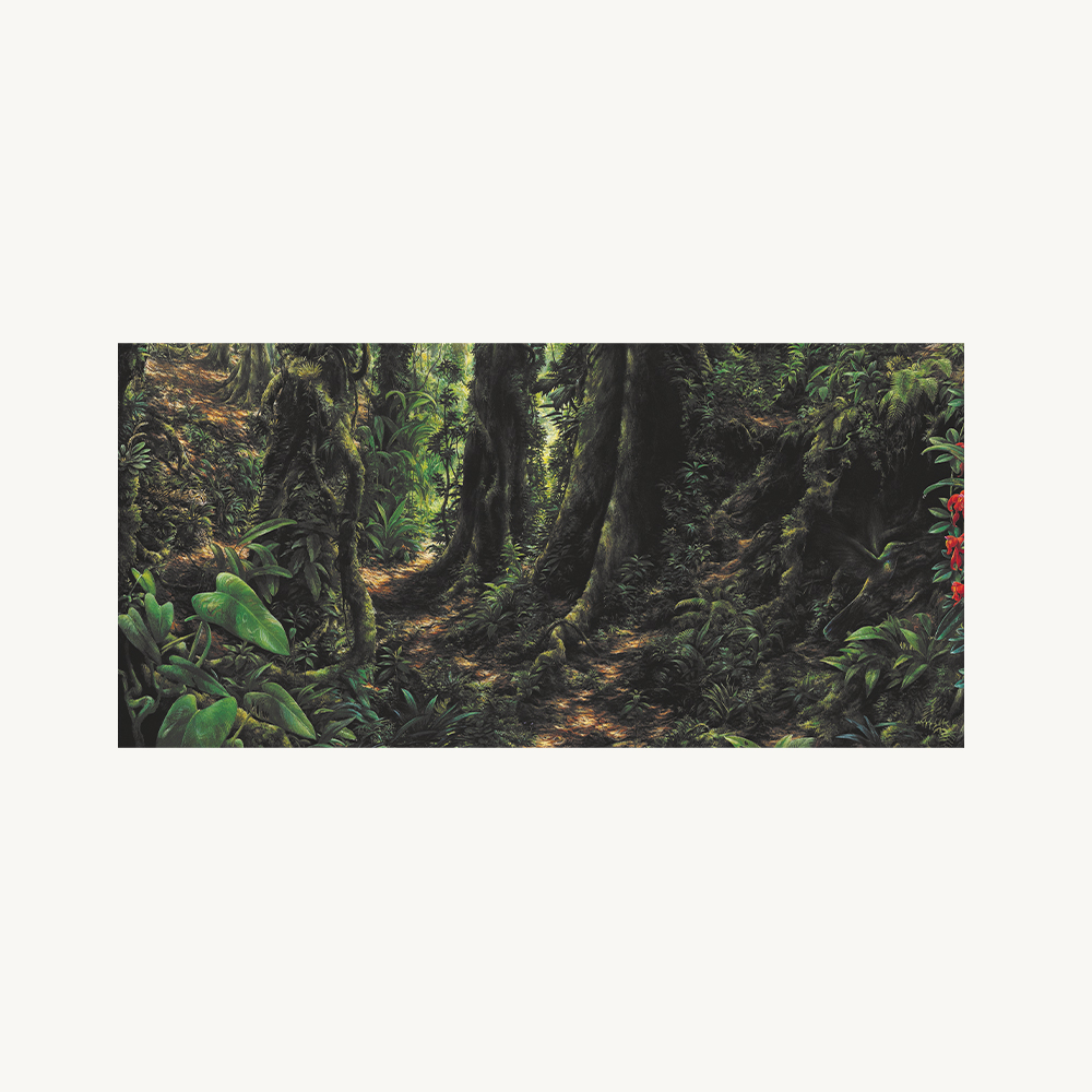 Peruvian Rainforest – Spot 15 Animals - Image 5