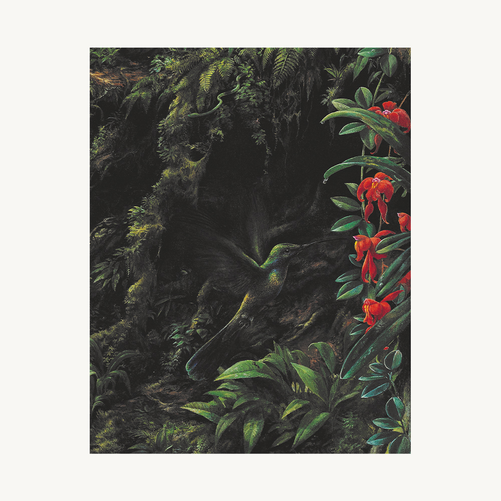Peruvian Rainforest – Spot 15 Animals - Image 4